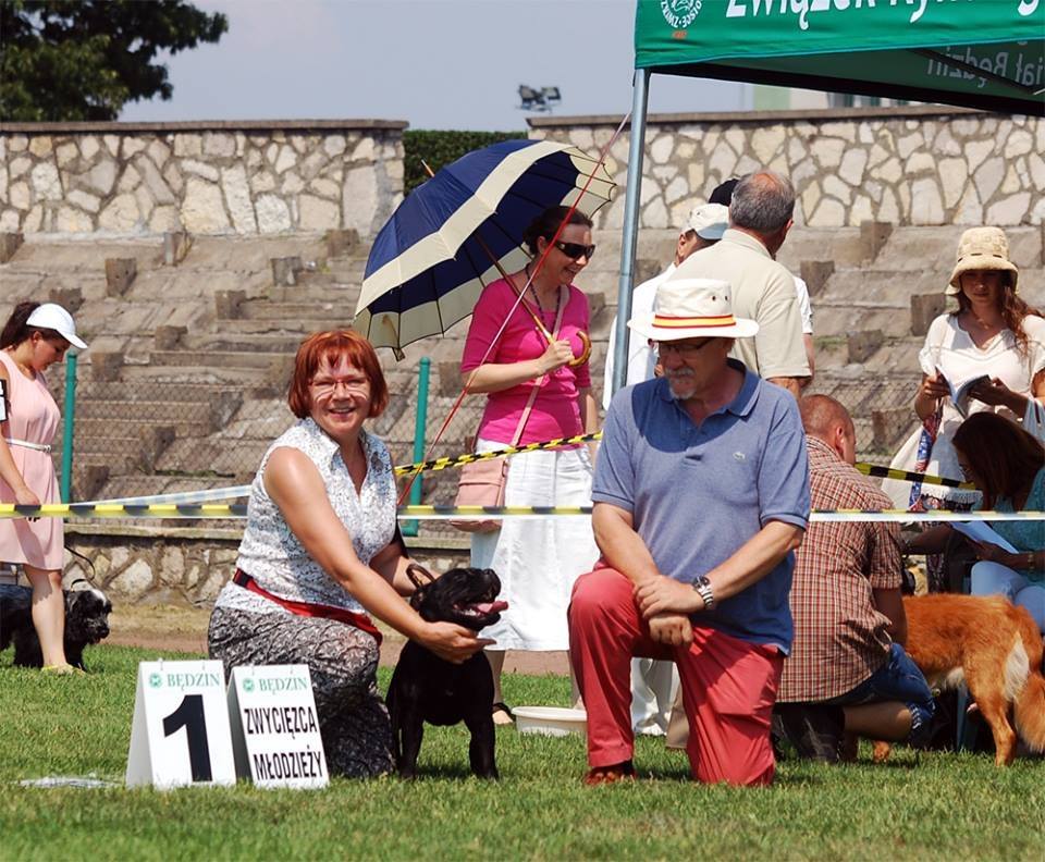 Shrnutí výstavní sezóny Domidar Dogs 2015