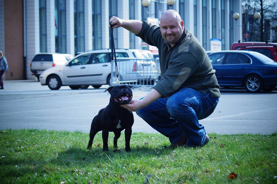Shrnutí výstavní sezóny Domidar Dogs 2015
