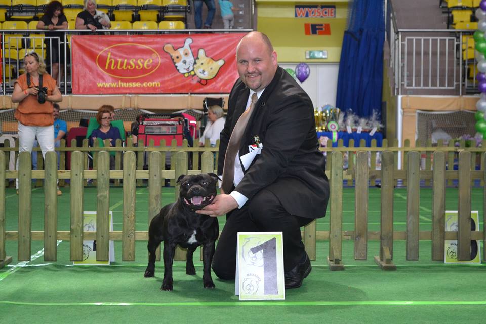 Shrnutí výstavní sezóny Domidar Dogs 2015