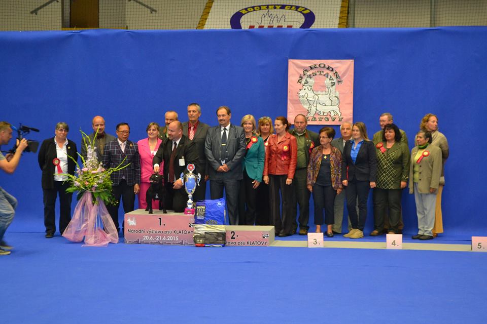Shrnutí výstavní sezóny Domidar Dogs 2015