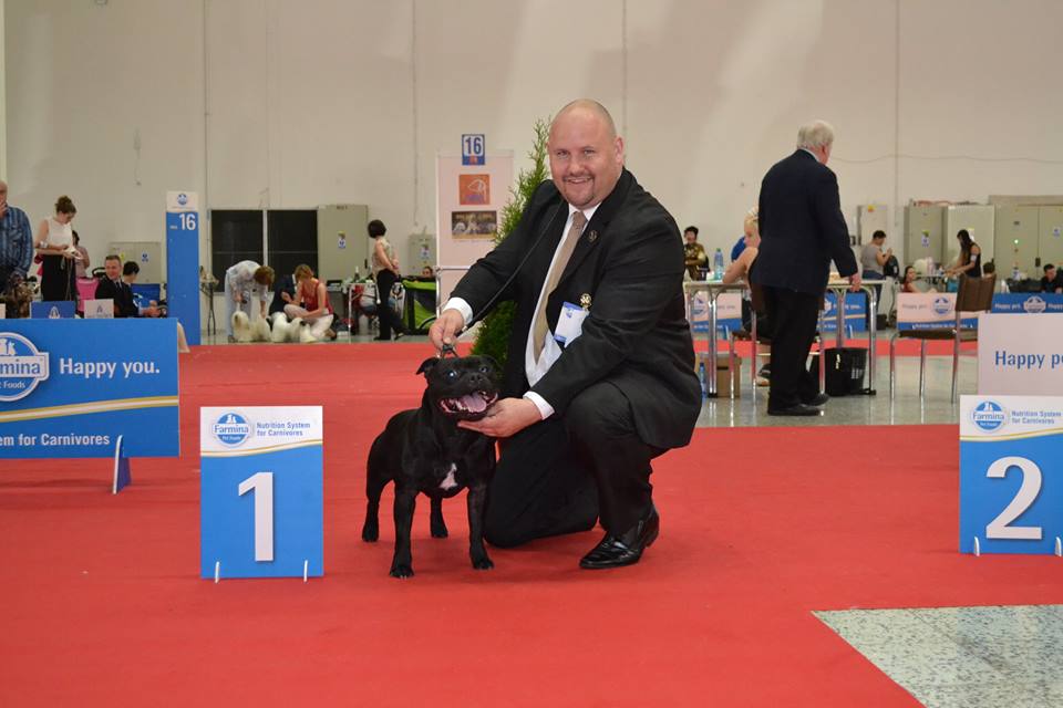Shrnutí výstavní sezóny Domidar Dogs 2015