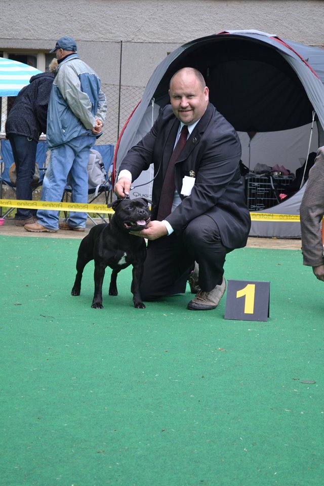 Shrnutí výstavní sezóny Domidar Dogs 2015