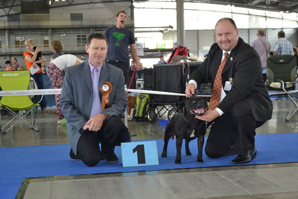 Shrnutí výstavní sezóny Domidar Dogs 2015