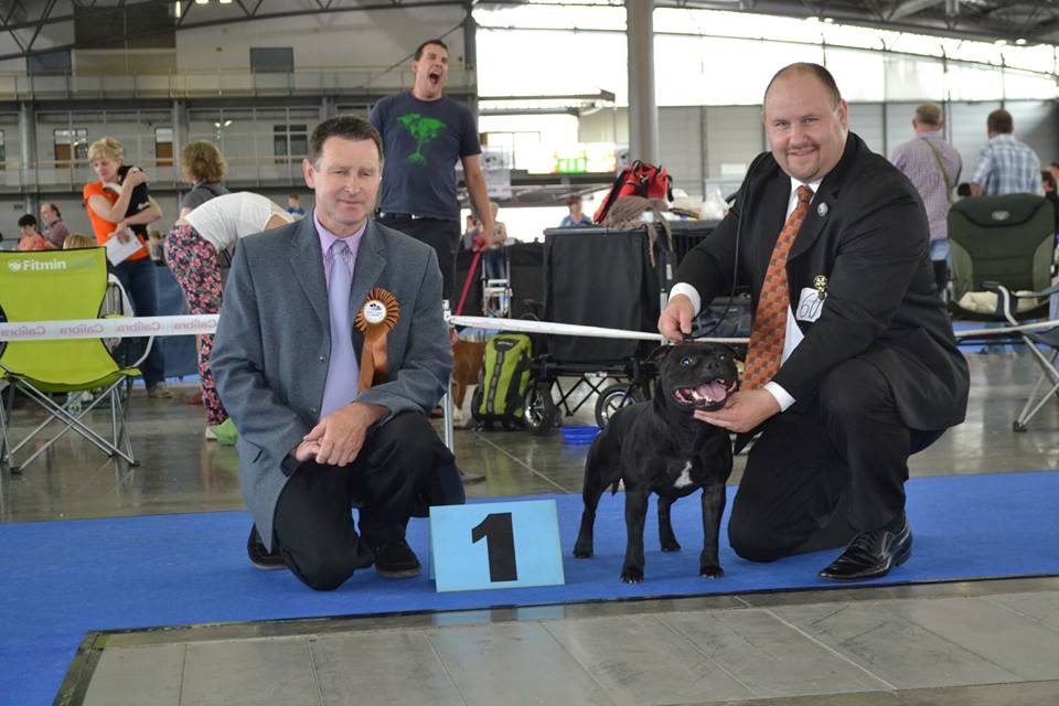 2015 Summary - DOMIDAR DOGS Kennel