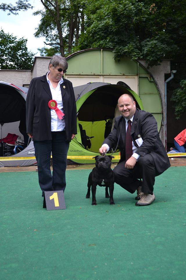 Shrnutí výstavní sezóny Domidar Dogs 2015