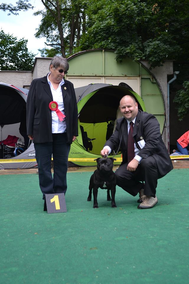 2015 Summary - DOMIDAR DOGS Kennel