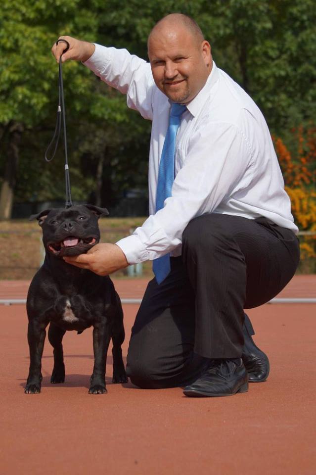 Shrnutí výstavní sezóny Domidar Dogs 2015