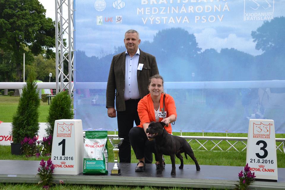 Shrnutí roku 2016