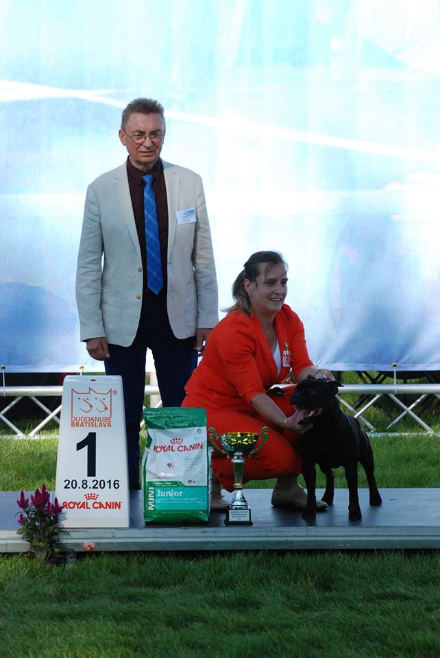 Shrnutí výstavní sezóny Domidar Dogs 2016