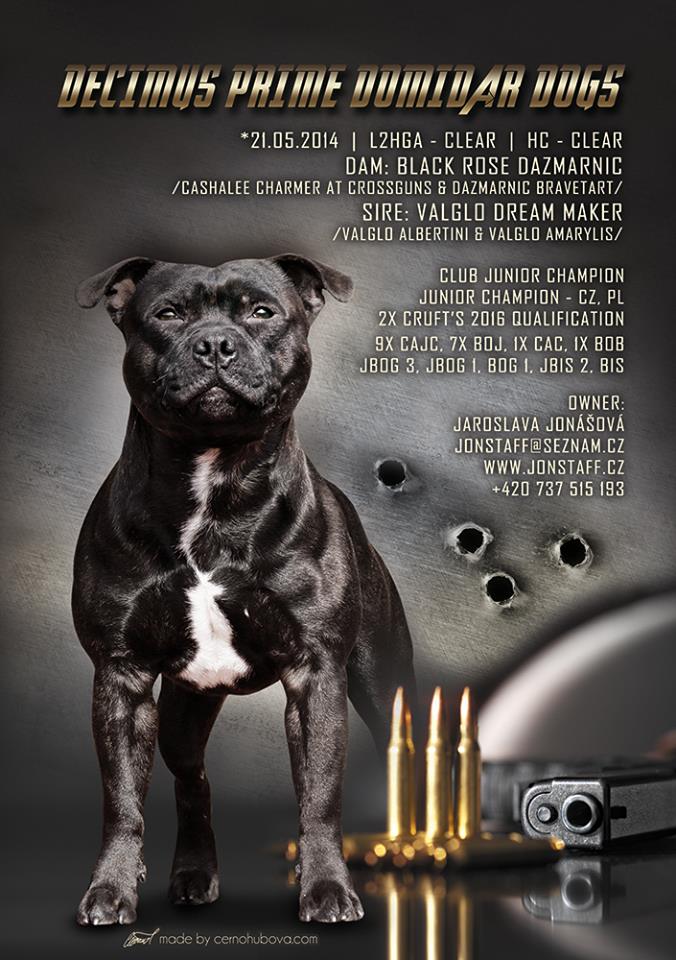 Shrnutí výstavní sezóny Domidar Dogs 2016
