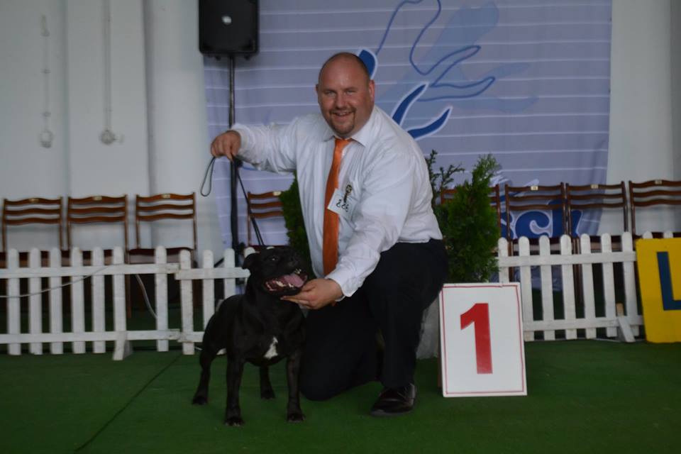 Shrnutí výstavní sezóny Domidar Dogs 2016