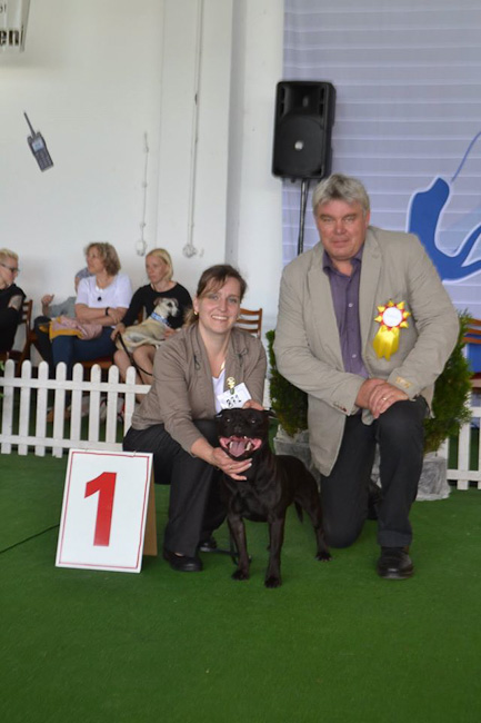 Shrnutí výstavní sezóny Domidar Dogs 2016
