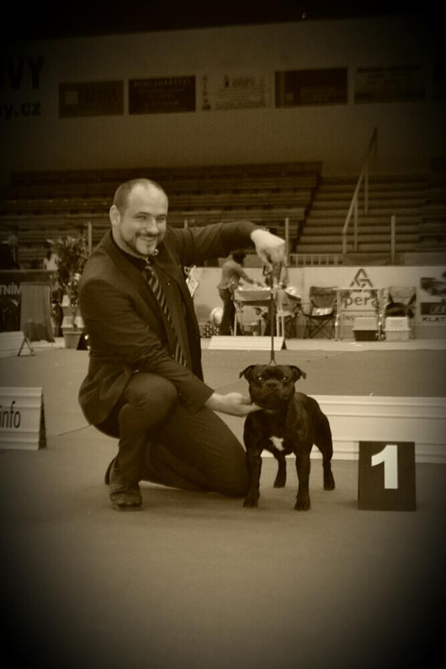 Shrnutí výstavní sezóny Domidar Dogs 2016