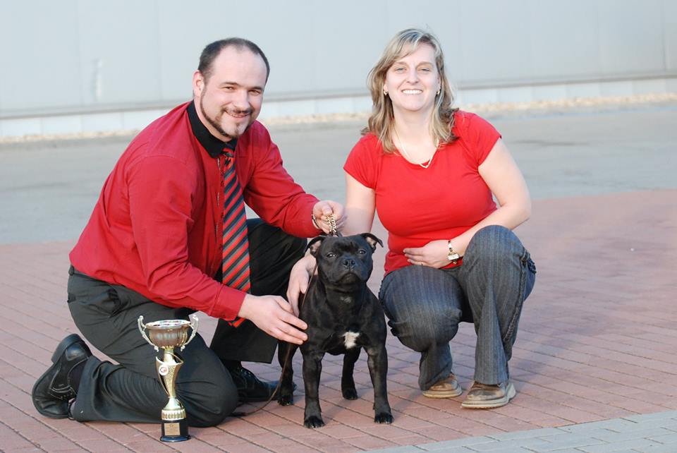 Shrnutí výstavní sezóny Domidar Dogs 2016