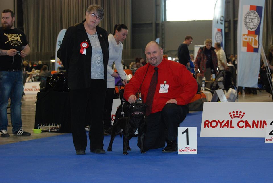 Shrnutí výstavní sezóny Domidar Dogs 2016
