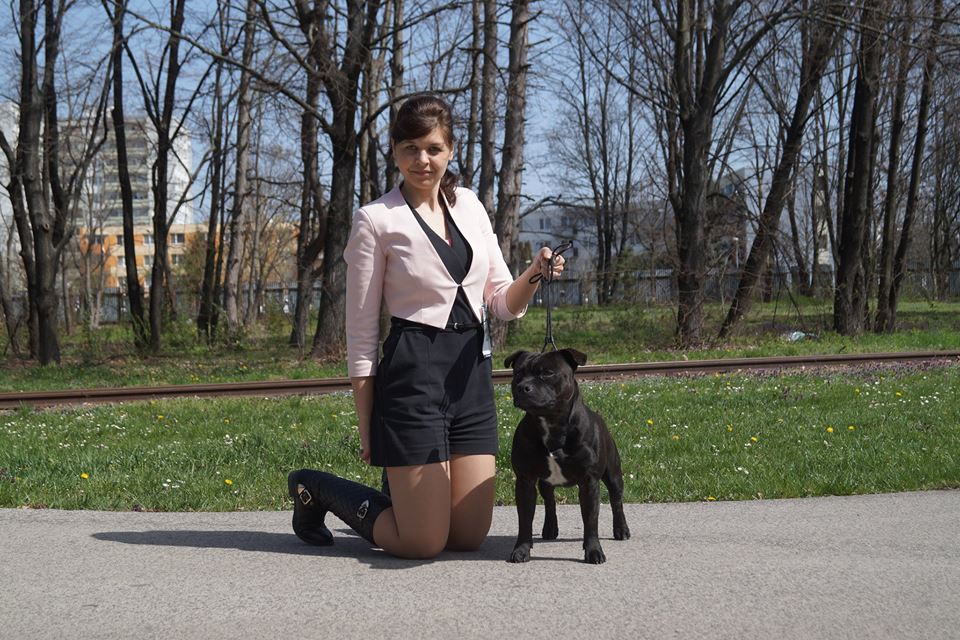 Shrnutí výstavní sezóny Domidar Dogs 2016