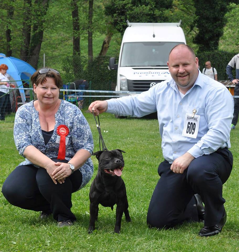 Shrnutí výstavní sezóny Domidar Dogs 2016