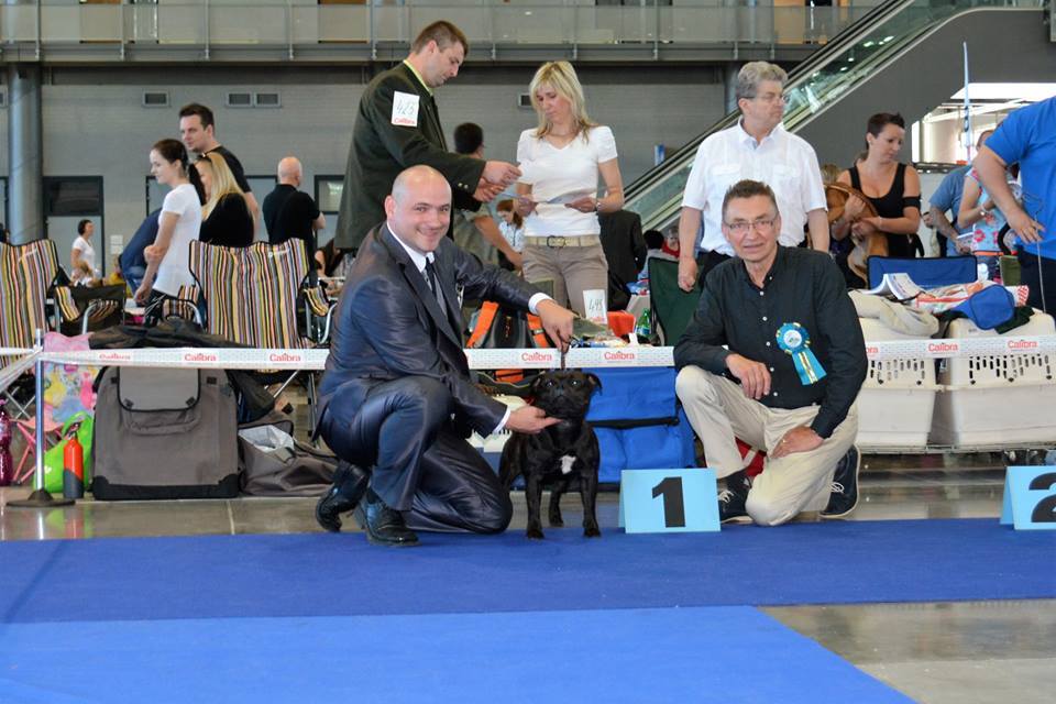 Shrnutí výstavní sezóny Domidar Dogs 2016