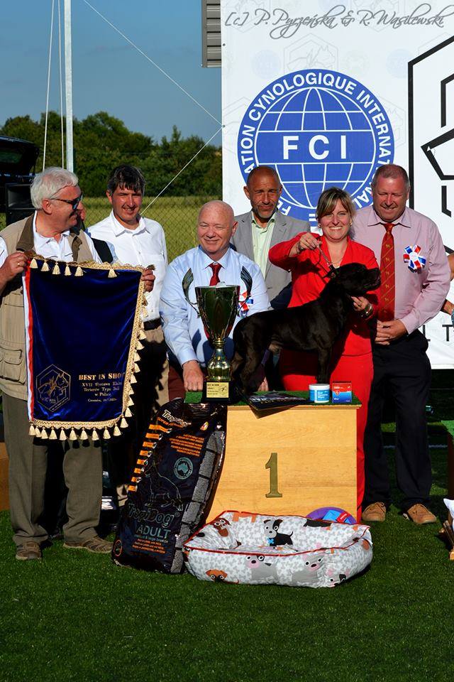 Shrnutí výstavní sezóny Domidar Dogs 2017