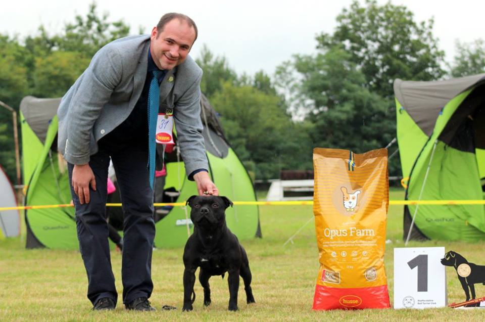 Shrnutí výstavní sezóny Domidar Dogs 2017