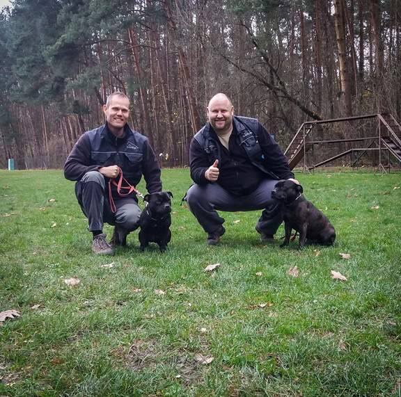 Shrnutí výstavní sezóny Domidar Dogs 2017