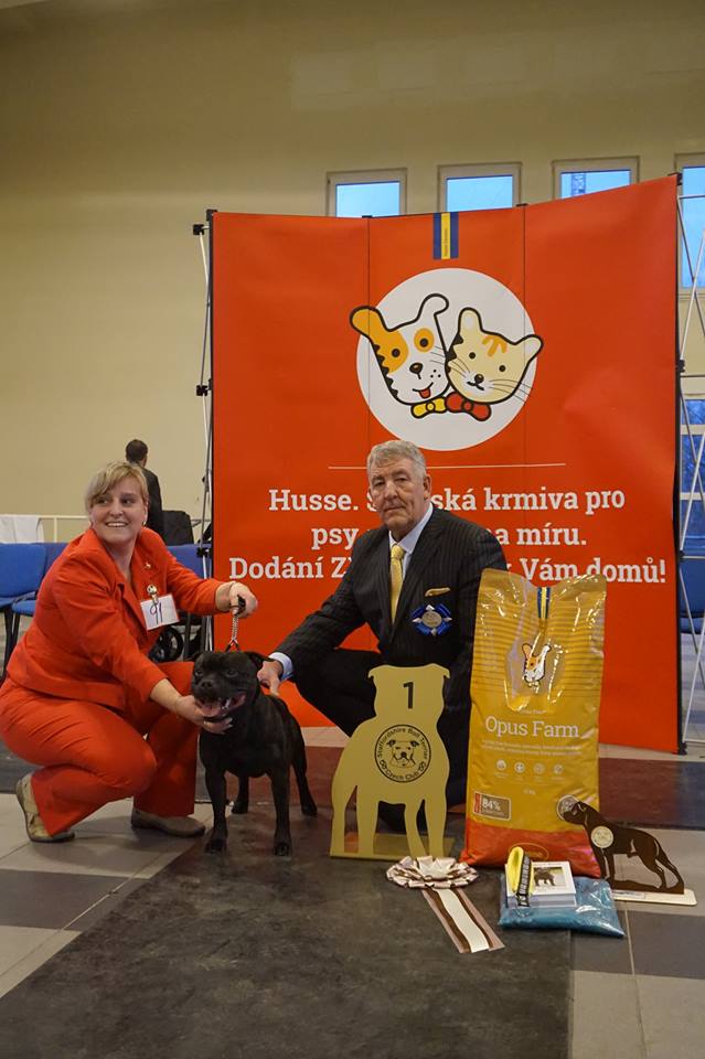 Shrnutí výstavní sezóny Domidar Dogs 2018