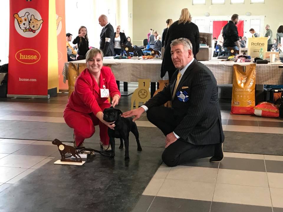 Shrnutí výstavní sezóny Domidar Dogs 2018
