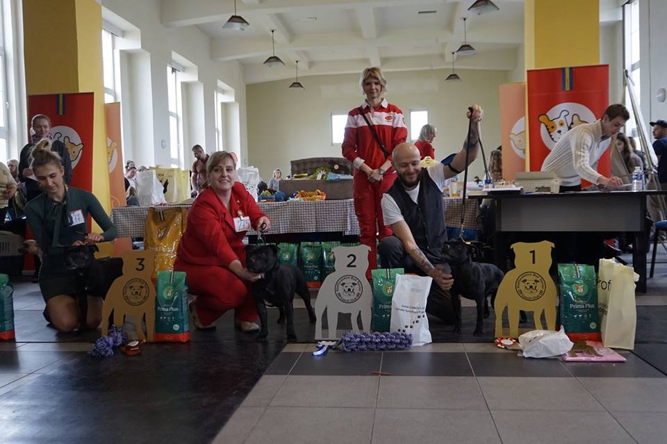 Shrnutí výstavní sezóny Domidar Dogs 2018