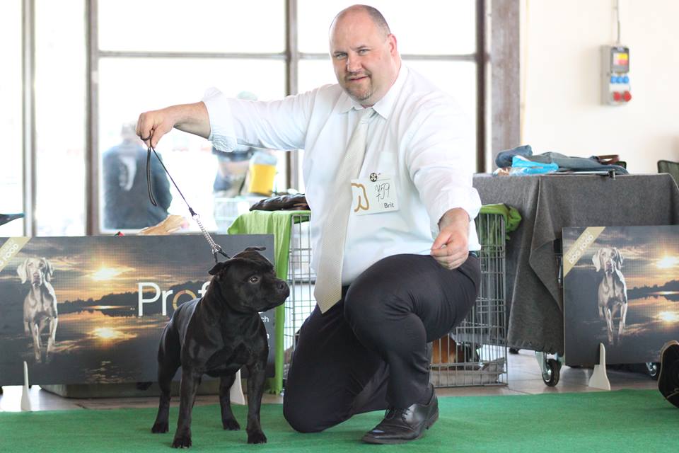 Shrnutí výstavní sezóny Domidar Dogs 2018