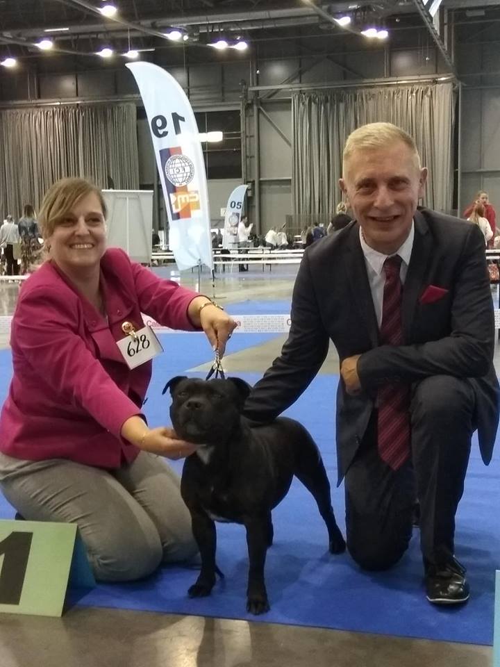 Shrnutí výstavní sezóny Domidar Dogs 2018