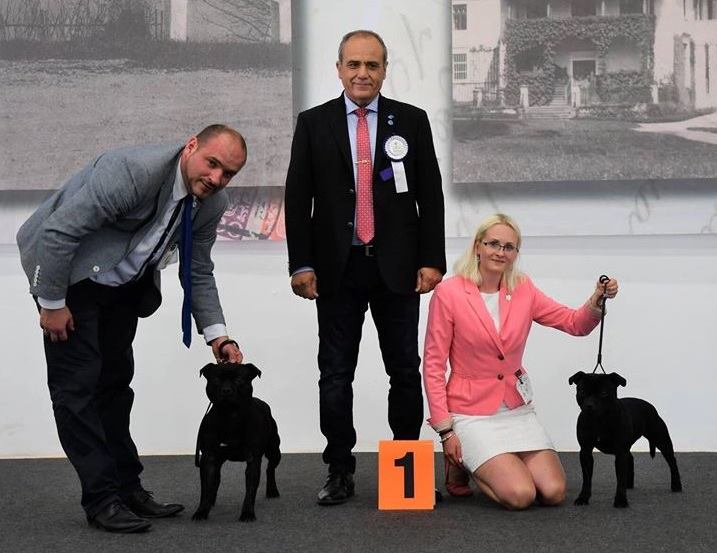 Shrnutí výstavní sezóny Domidar Dogs 2018