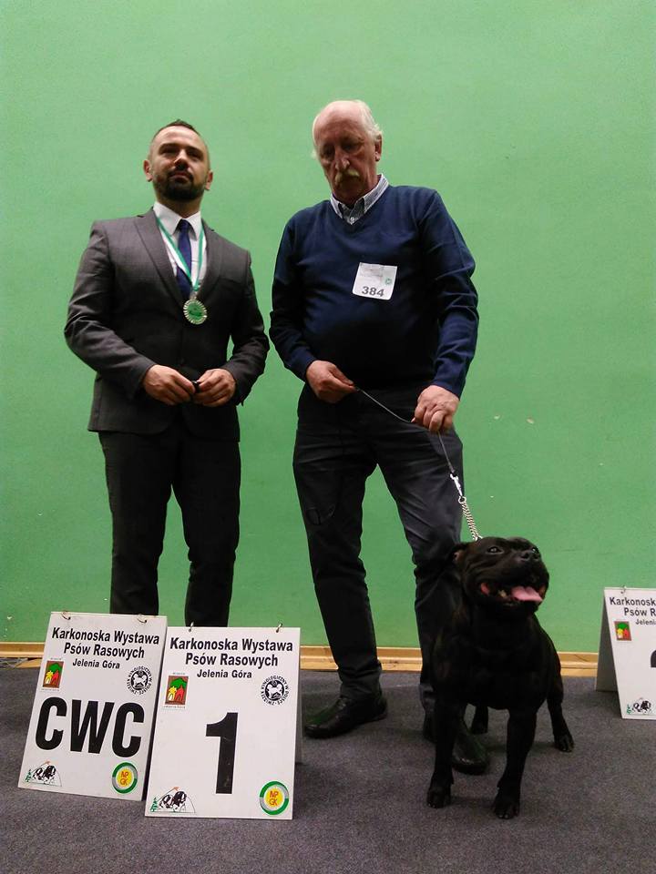 Shrnutí výstavní sezóny Domidar Dogs 2018
