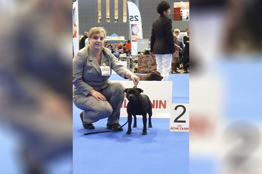 Shrnutí výstavní sezóny Domidar Dogs 2019