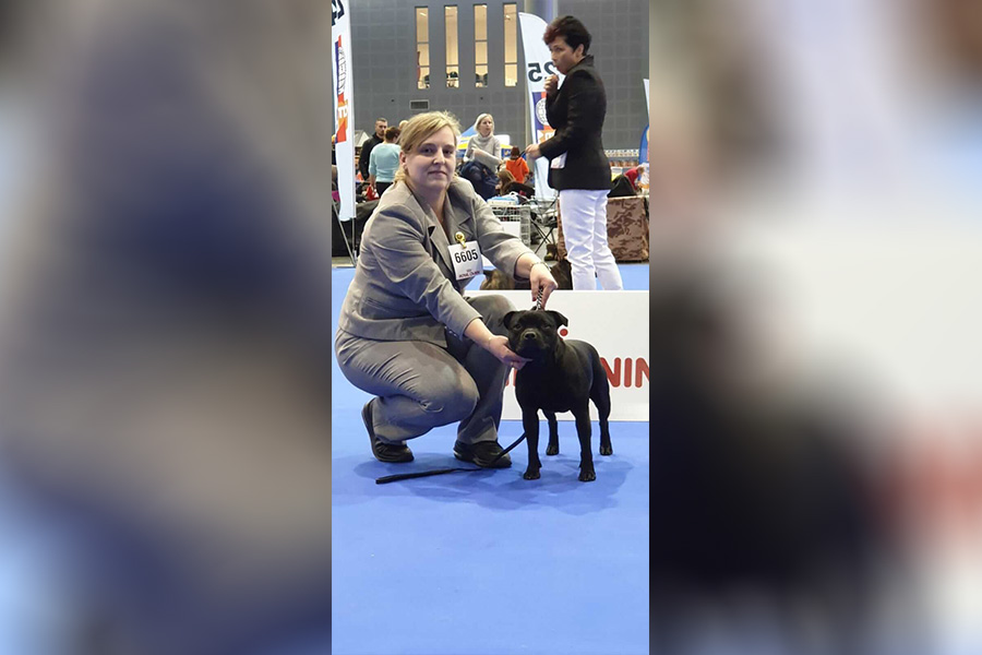 Shrnutí výstavní sezóny Domidar Dogs 2019
