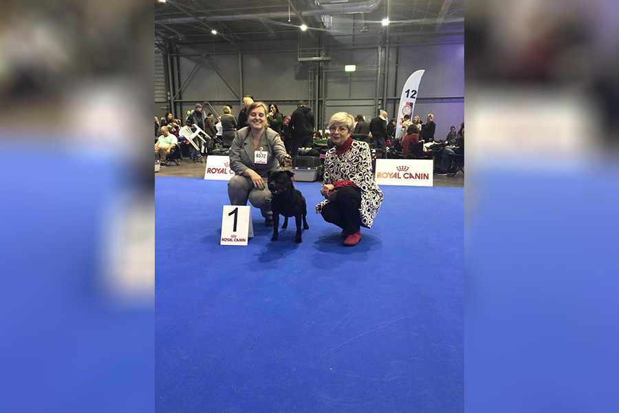 Shrnutí výstavní sezóny Domidar Dogs 2019