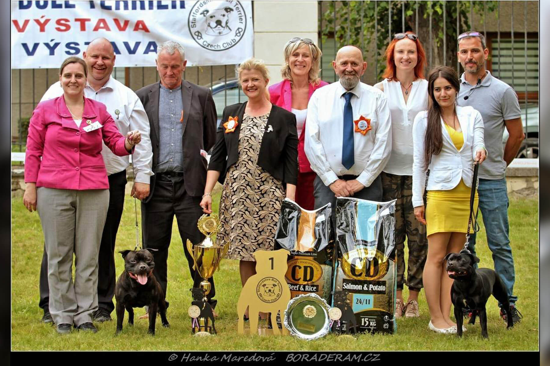 Shrnutí výstavní sezóny Domidar Dogs 2019