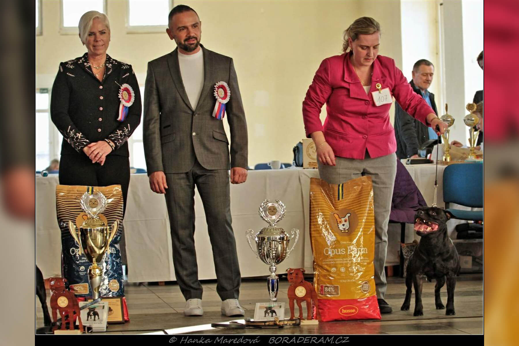 Shrnutí výstavní sezóny Domidar Dogs 2019