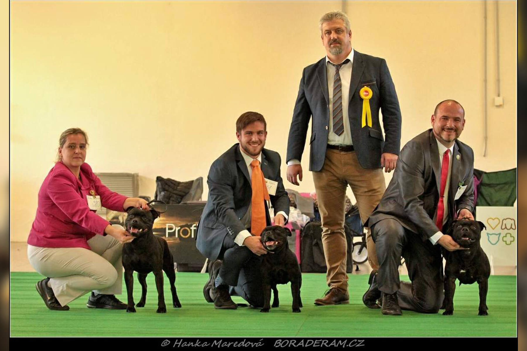 Shrnutí výstavní sezóny Domidar Dogs 2019