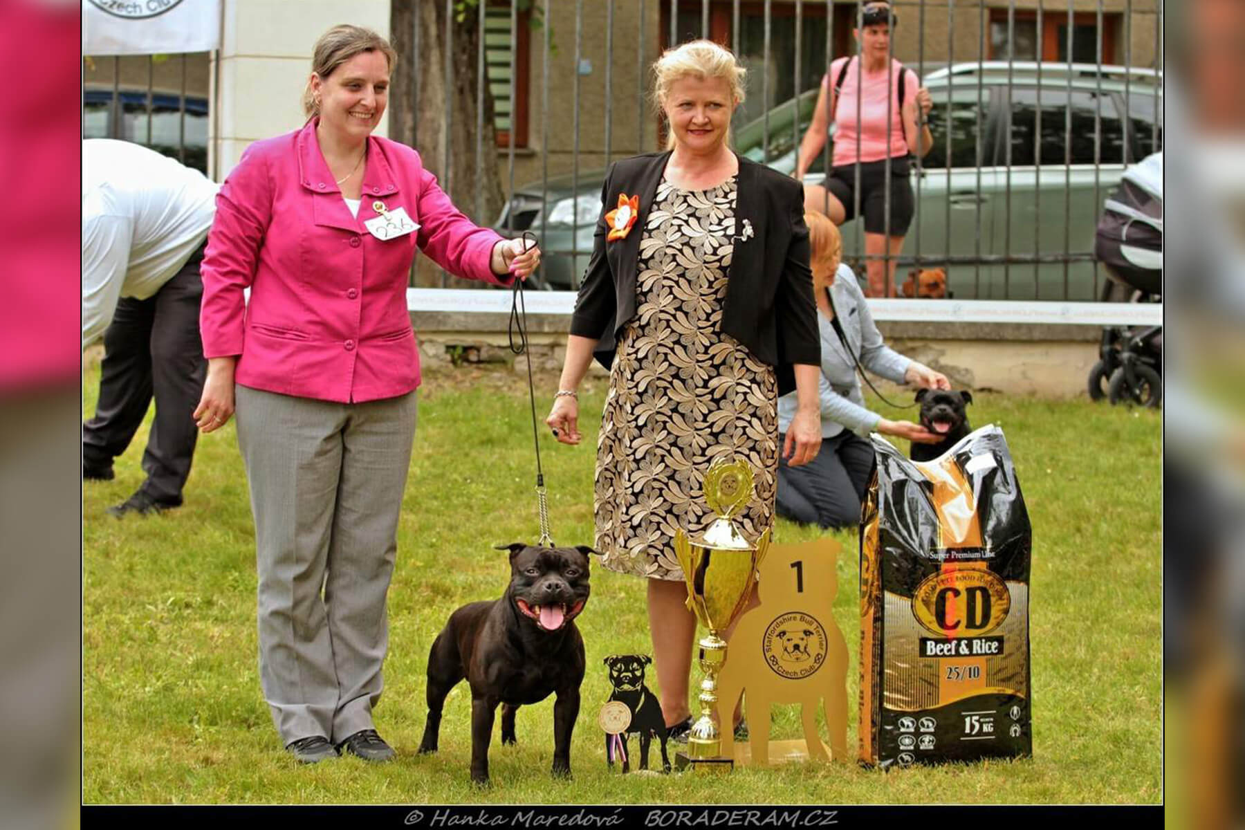 Shrnutí výstavní sezóny Domidar Dogs 2019