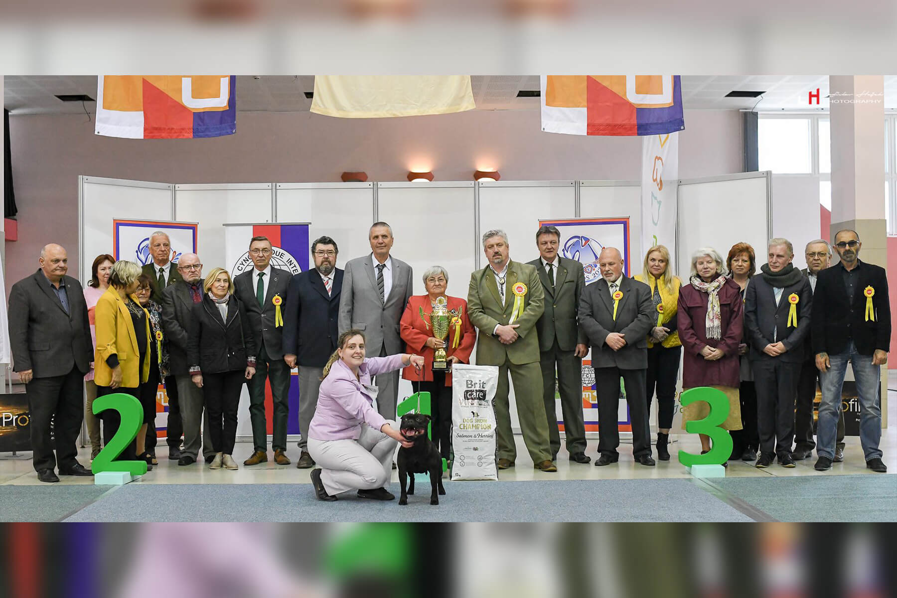 Shrnutí výstavní sezóny Domidar Dogs 2019