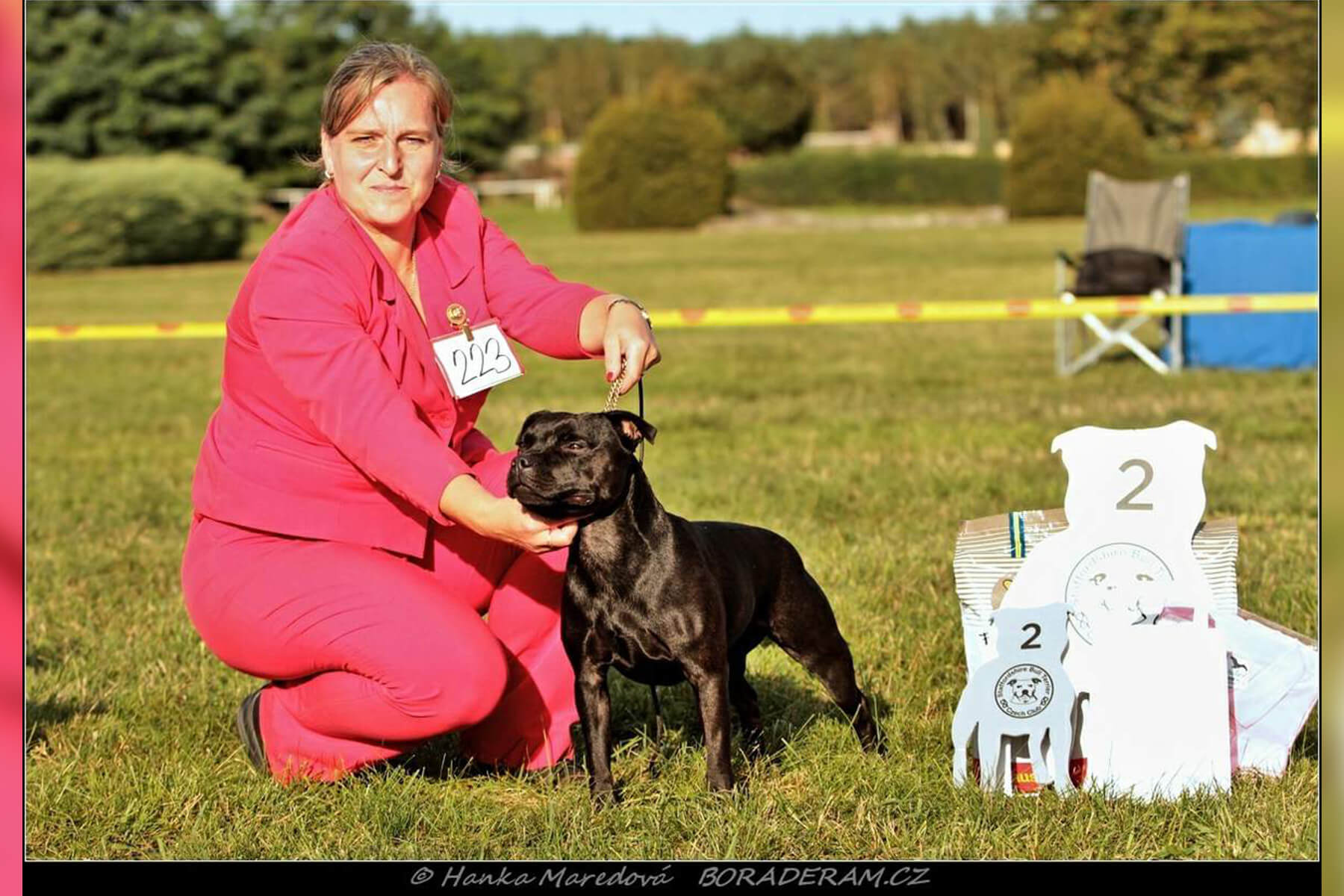 Shrnutí výstavní sezóny Domidar Dogs 2019