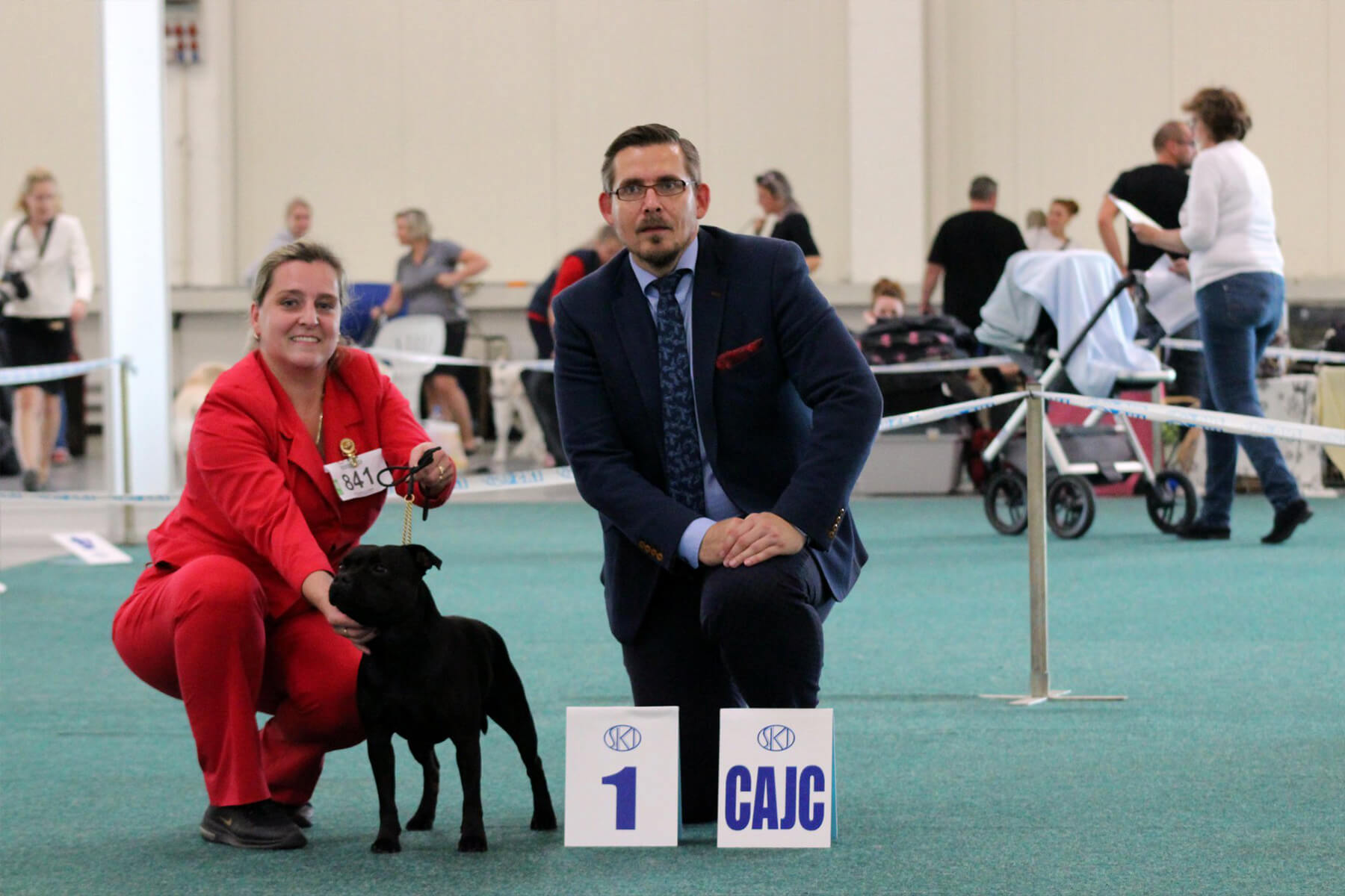 Shrnutí výstavní sezóny Domidar Dogs 2019