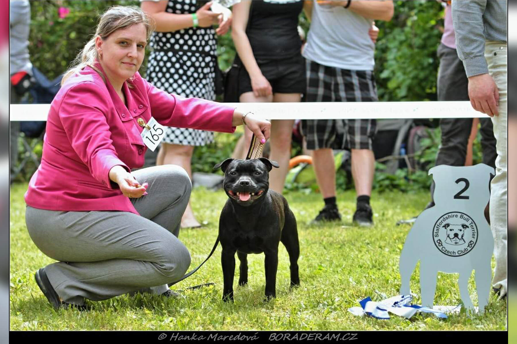 Shrnutí výstavní sezóny Domidar Dogs 2019