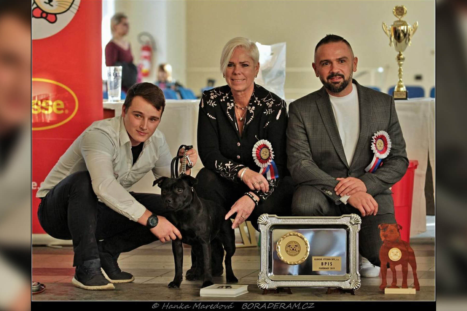 Shrnutí výstavní sezóny Domidar Dogs 2019