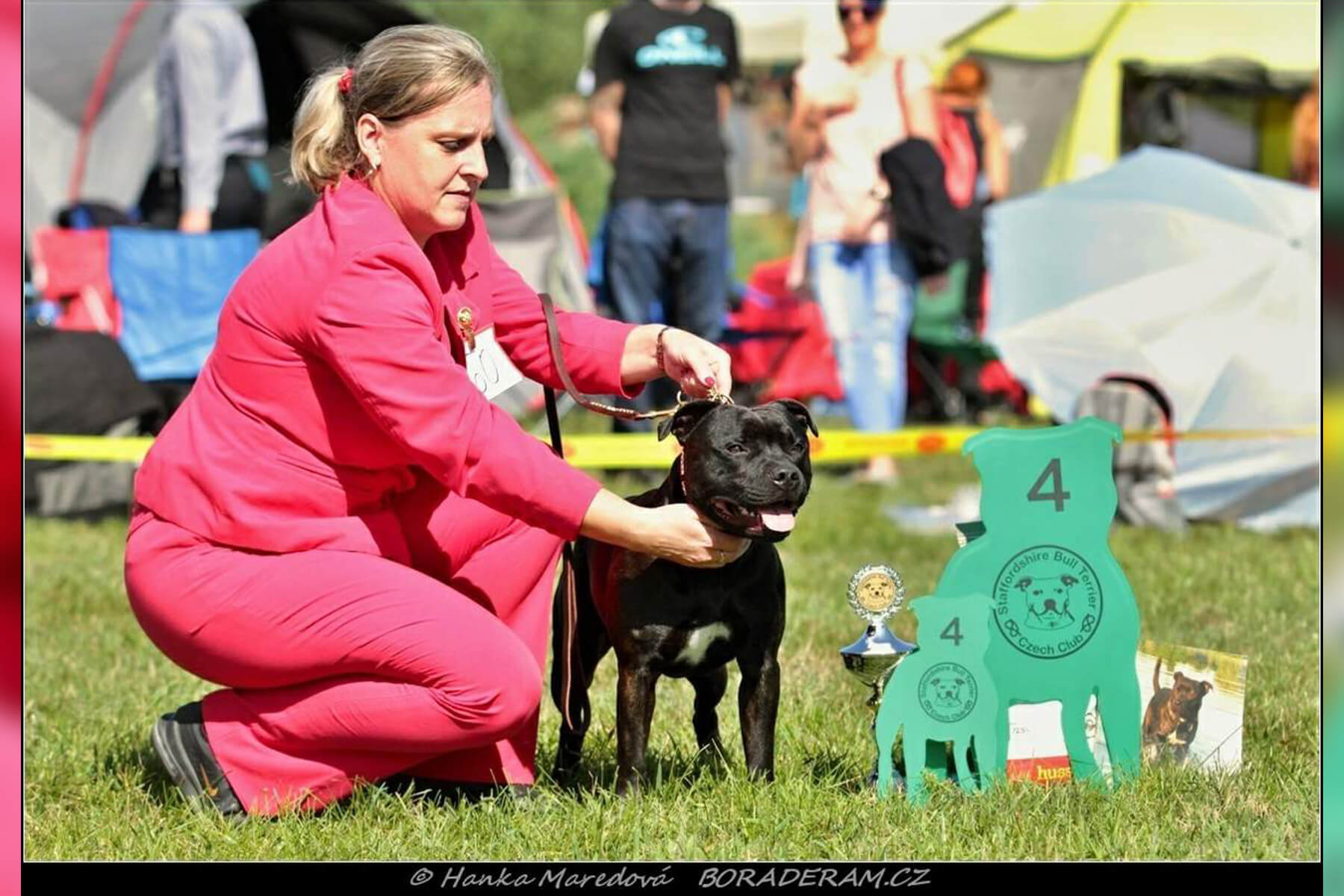 Shrnutí výstavní sezóny Domidar Dogs 2019
