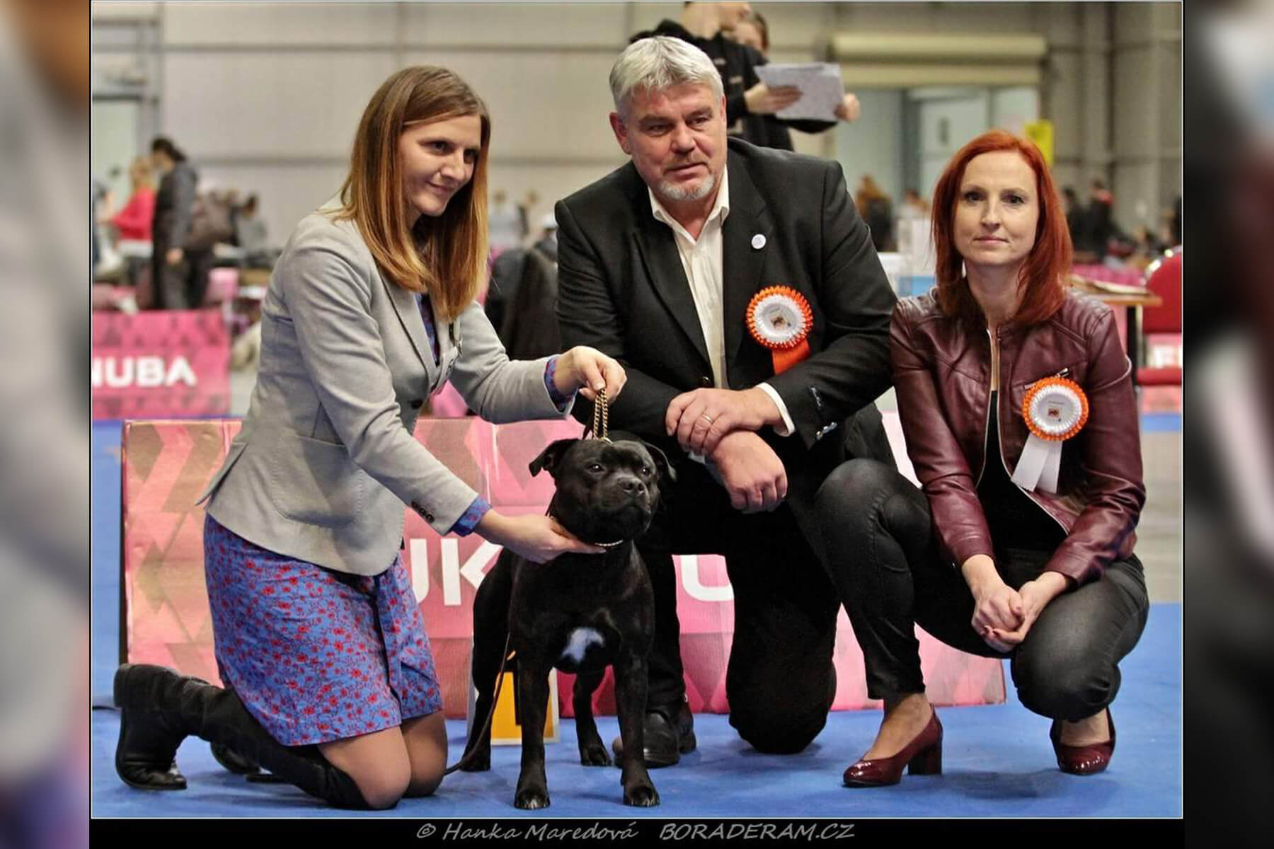 Shrnutí výstavní sezóny Domidar Dogs 2019