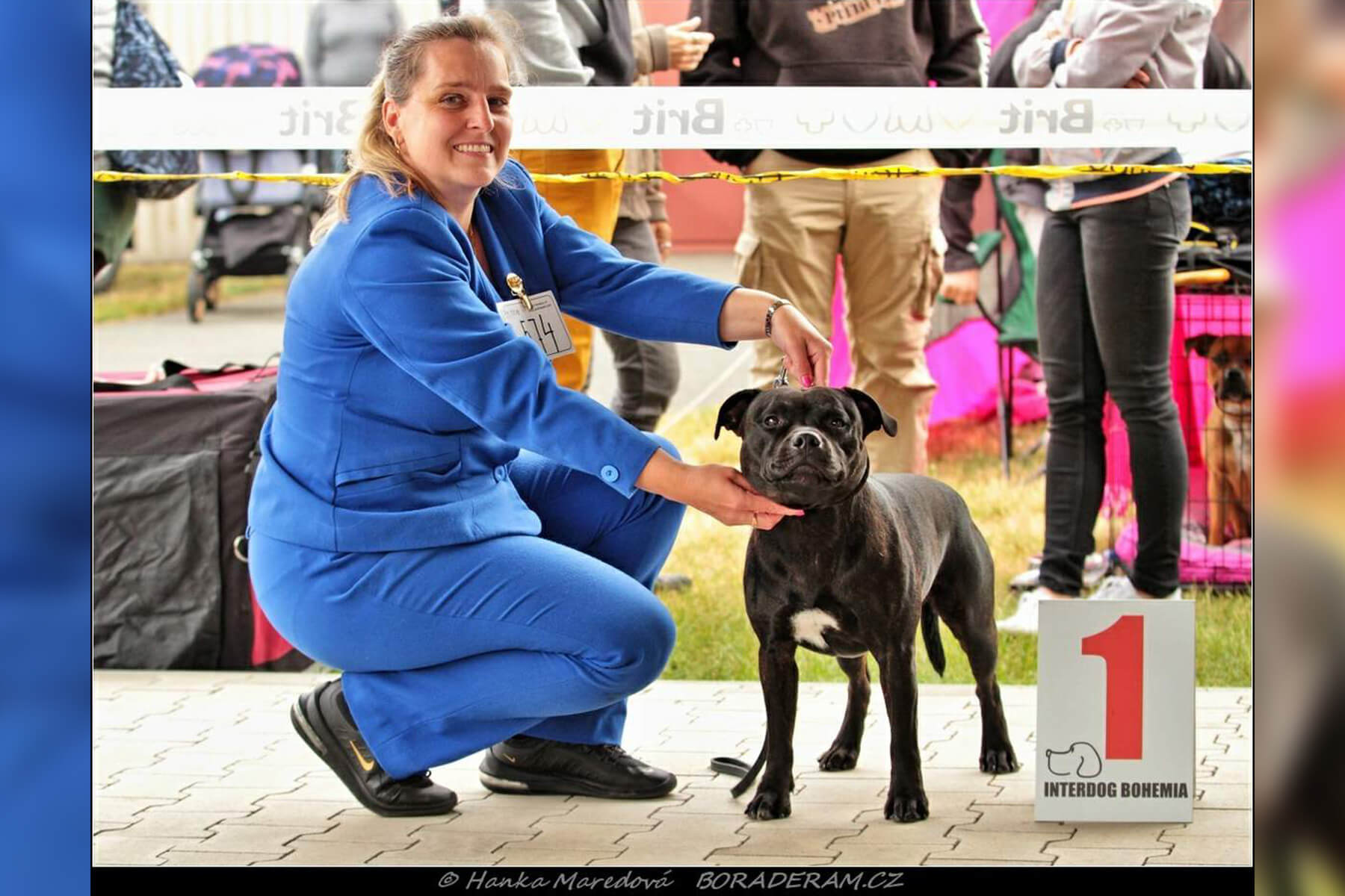 Shrnutí výstavní sezóny Domidar Dogs 2019