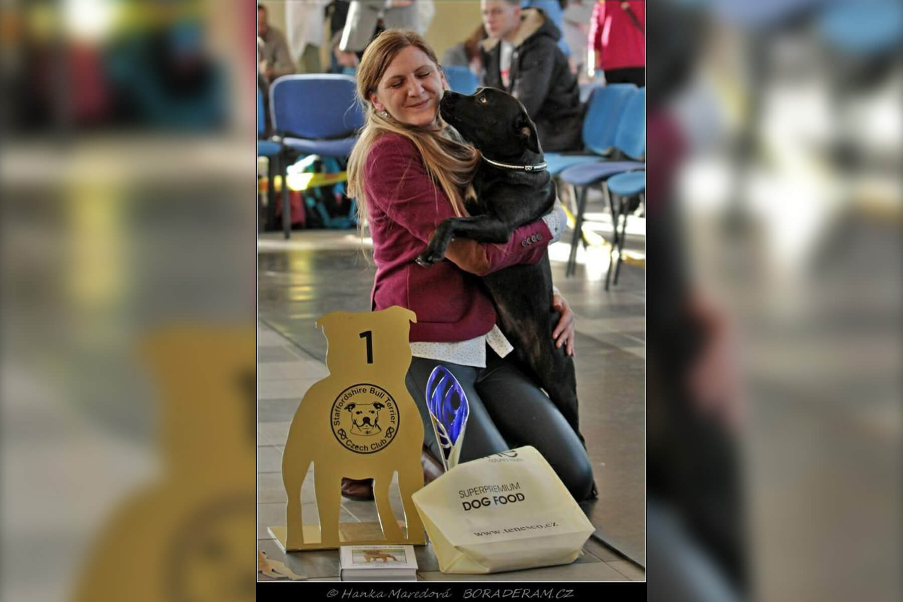 Shrnutí výstavní sezóny Domidar Dogs 2019