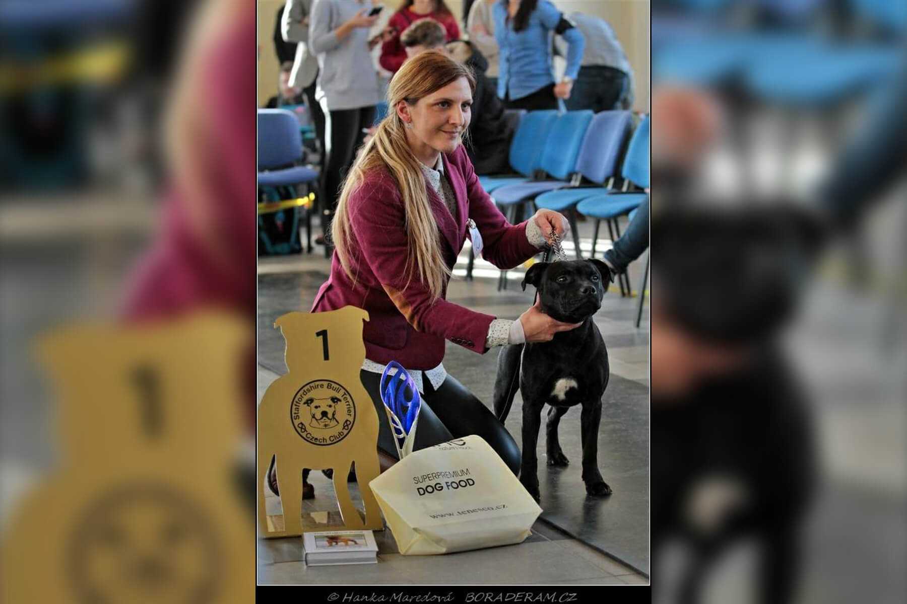 Shrnutí výstavní sezóny Domidar Dogs 2019