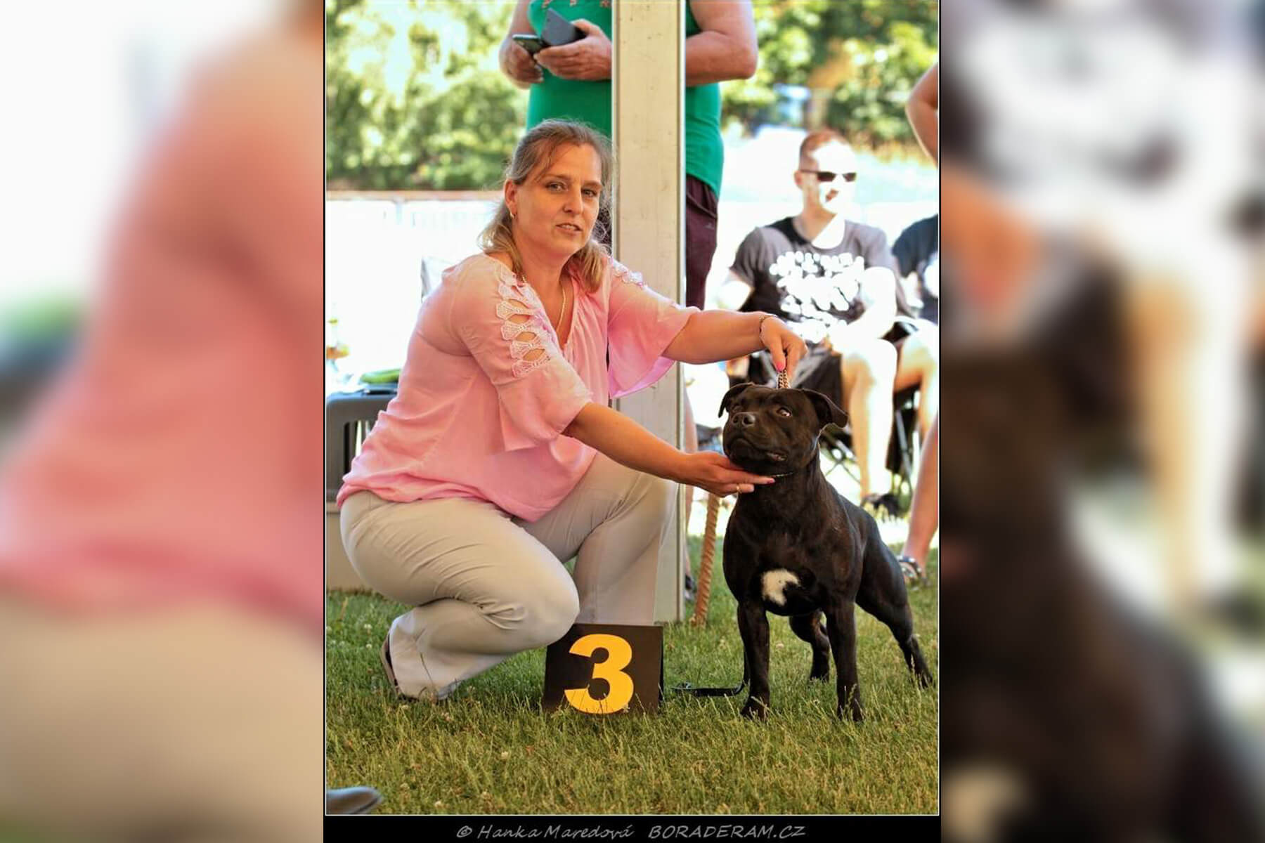 Shrnutí výstavní sezóny Domidar Dogs 2019